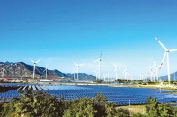 Chốt danh sách 106 nhà máy điện gió đăng ký đóng điện, công nhận COD 