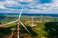 4.000 MW điện gió có nguy cơ không được hưởng giá ưu đãi 