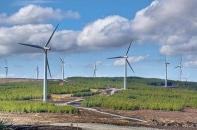 Dự án năng lượng tái tạo ngóng giá mới