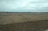 Nhà đầu tư điện mặt trời chưa triển khai lo bị loại khỏi Quy hoạch điện VIII