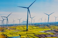 Điện gió có lúc chỉ phát được 15 MW trên tổng công suất đặt 4.000 MW 