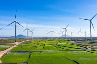 Tháng 4 -5, điện gió đa phần phát thấp hơn 50% công suất đặt 