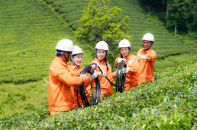 Phụ nữ EVNNPC: "Giỏi việc điện, duyên việc đời"