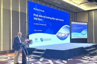 Thị trường điện cạnh tranh ở Việt Nam còn nhiều trở ngại