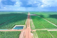 THACO GROUP: Năm 2026 tăng tốc, bứt phá, tiến lên giữ vị thế hàng đầu trong nước