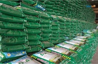 Chủ tịch Hiệp hội Phân bón khuyến cáo đa dạng nguồn cung, chuẩn bị kịch bản ứng phó tác động từ xung đột Trung Đông