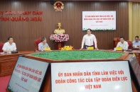 EVN và Quảng Ngãi thúc đẩy phát triển các dự án điện 