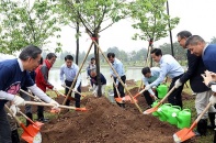 Hà Nội trồng thêm 1.000 cây hoa anh đào tại Công viên Hòa Bình
