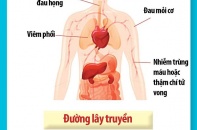 75 người Việt Nam đang được cách ly, theo dõi virus Corona