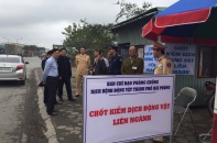 Hải Phòng, Hải Dương đẩy mạnh biện pháp an toàn sinh học, không để dịch tả lợn Châu Phi lan rộng