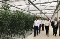 Hải Phòng: Đầu tư 436,9 tỷ đồng làm tổ hợp nông sản thực phẩm công nghệ cao