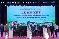 Bí thư Phạm Xuân Thăng: Nông nghiệp Hải Dương bứt phá, là trụ đỡ vững chắc của nền kinh tế