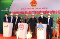 Lần đầu tiên Hải Dương tổ chức lễ hội thu hoạch cà rốt