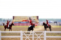 Ra mắt Học viện cưỡi ngựa “chuẩn quốc tế” tại Hải Phòng