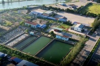 Phát triển mô hình khu công nghiệp xanh, tuần hoàn và phát thải thấp tại TP. Hải Phòng