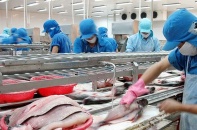 Cổ phiếu giảm gần 30% từ đỉnh, Vĩnh Hoàn muốn mua lại 2 triệu cổ phiếu quỹ