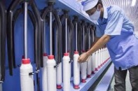 Fortex “bốc hơi” 77% vốn hóa, ông Nguyễn Hoàng Giang xin rời ghế chủ tịch