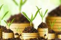 Doanh nghiệp tuần qua: REE tiếp tục vươn dài qua M&A doanh nghiệp điện, nhiều ông lớn báo trả cổ tức khủng về ngân sách 