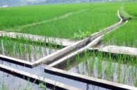 Có nên thử nghiệm cổ phần hóa công ty công trình thủy lợi?