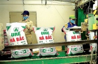 Khó chồng khó, Đạm Hà Bắc lỗ lũy kế 3.980 tỷ đồng