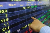 VN-Index đi lên sau phiên bán tháo, thanh khoản sàn HoSE giảm một nửa