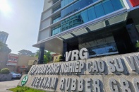 VN-Index lập đỉnh mới, Tập đoàn Cao su (GVR) vươn lên top 10 vốn hóa