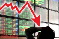 Cứ 5 cổ phiếu trên HoSE có 1 mã nằm "sàn”, VN-Index tiếp tục rơi 