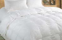 Giá nguyên vật liệu tăng gấp rưỡi, Mirae báo lãi giảm 30%