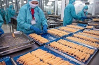 Thực phẩm Sao Ta (Fimex): Doanh số sẽ không tăng mạnh ở các tháng cuối năm