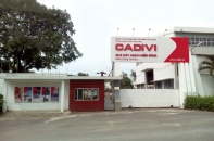 Gelex Electric muốn sở hữu trọn 100% vốn Cadivi