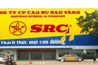 Cao su Sao Vàng dự kiến đạt 100 tỷ đồng lợi nhuận trước thuế năm 2025   