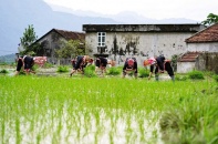 Quảng Ninh: Tăng thu nhập bình quân gấp 2 lần cho người dân vùng khó khăn