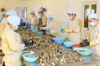 Quảng Ninh thành lập cụm công nghiệp mới rộng 53 ha tại Vân Đồn