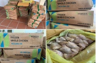 Hải Phòng và Quảng Ninh xử lý hàng nghìn vụ buôn lậu, gian lận thương mại