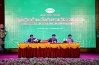 Nhựa Tiền Phong là đơn vị tăng giá cuối cùng và giảm giá thì phải là đầu tiên