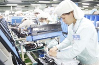 Tổng kim ngạch xuất nhập khẩu giữa Việt Nam và EU năm 2017 đạt 50,46  tỷ USD