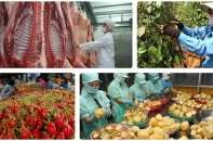 2019 là năm đặc biệt khó khăn và thử thách đối với ngành nông nghiệp