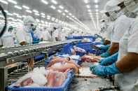 Xuất khẩu cá tra công phá thị trường Nhật