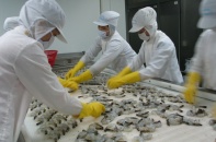 Tận dụng các FTA, tôm Việt tăng xuất khẩu sang Nhật