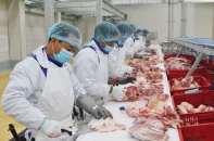 Ngành nông nghiệp tăng trưởng khá dù bị ảnh hưởng từ dịch tả lợn Châu phi