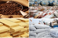 Kim ngạch xuất khẩu nông, lâm, thuỷ sản 6 tháng đầu năm 2019 đạt 19,8 tỷ USD