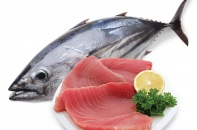 EVFTA tạo lợi thế thuế quan cho cá ngừ Việt Nam