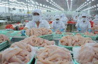 Quý II/2019, Thuỷ sản Cửu Long An Giang lãi ròng 113 tỷ đồng, gấp 2,2 lần cùng kỳ