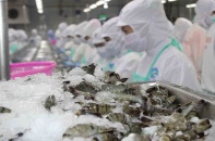  Thuỷ sản Sao Ta lãi 95 tỷ đồng sau 6 tháng, tăng 40% so với cùng kỳ