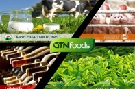 Lợi nhuận của GTNFoods giảm hơn 50% so với cùng kỳ năm trước