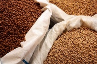 Quý II/2019, Tập đoàn Sao Mai có doanh thu tăng 76% nhưng lãi giảm 68%