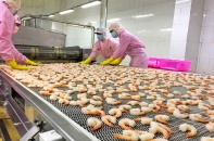 Quý II/2019 lợi nhuận sau thuế của công ty mẹ Thủy sản Minh Phú tăng 47% so với cùng kỳ