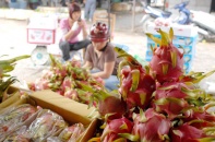 Kim ngạch xuất nhập khẩu nông lâm thuỷ sản 8 tháng ước đạt 47,11 tỷ USD 