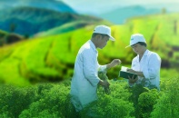 Traphaco bất ngờ giảm lợi nhuận 2019 xuống 170 tỷ đồng