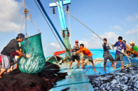 Việt Nam lại “tuột” cơ hội gỡ thẻ vàng IUU